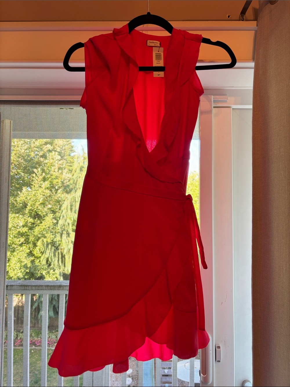 NWT Sunday Best (Aritzia) Savoy Dress